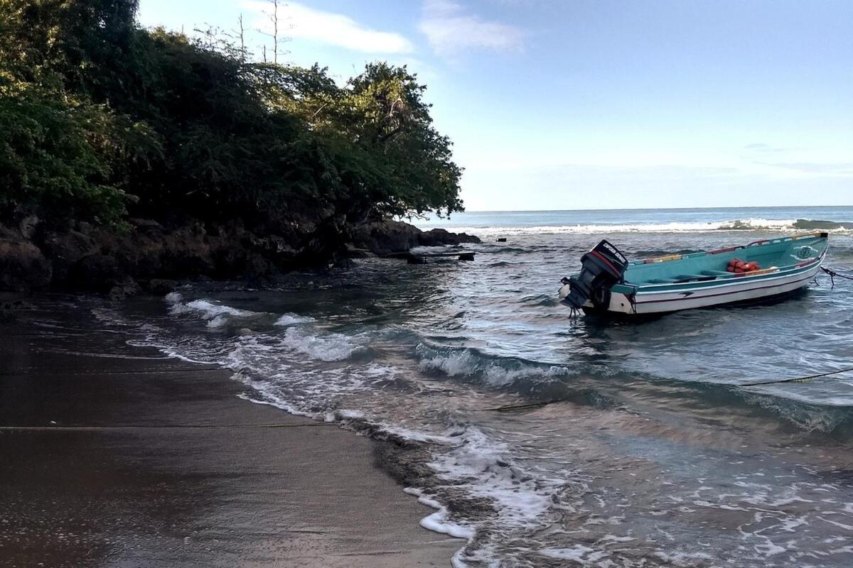 Dragonfly Hotel Treasure Beach Luaran gambar
