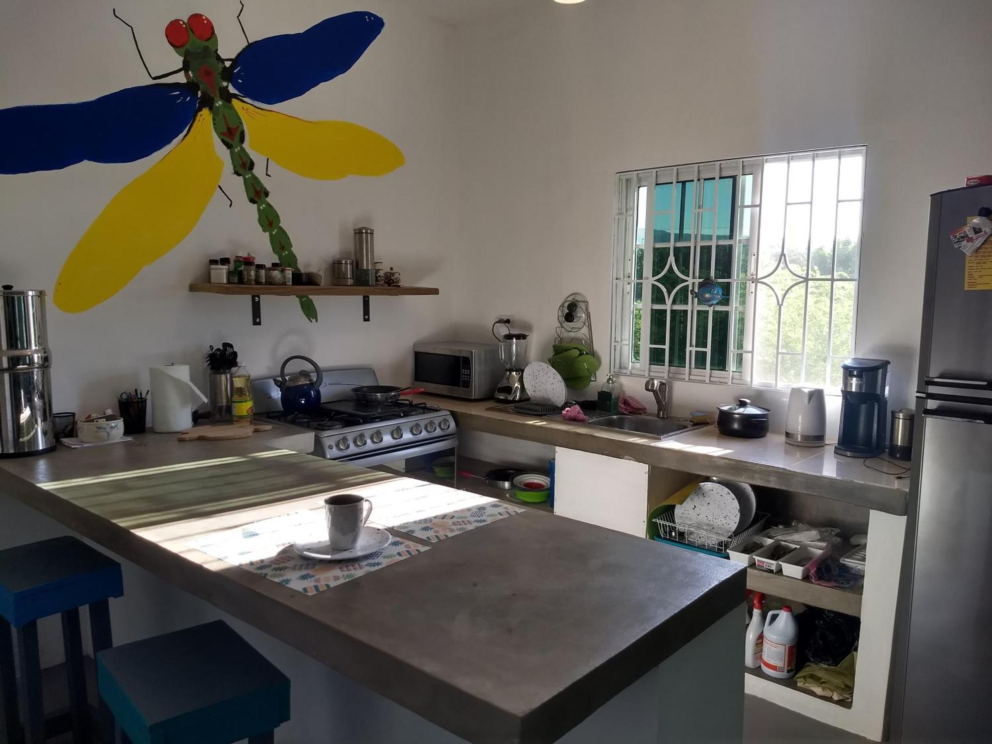 Dragonfly Hotel Treasure Beach Luaran gambar